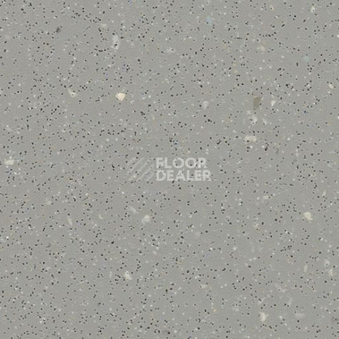 Линолеум Forbo SafeStep R11 174752 slate grey фото 1 | FLOORDEALER